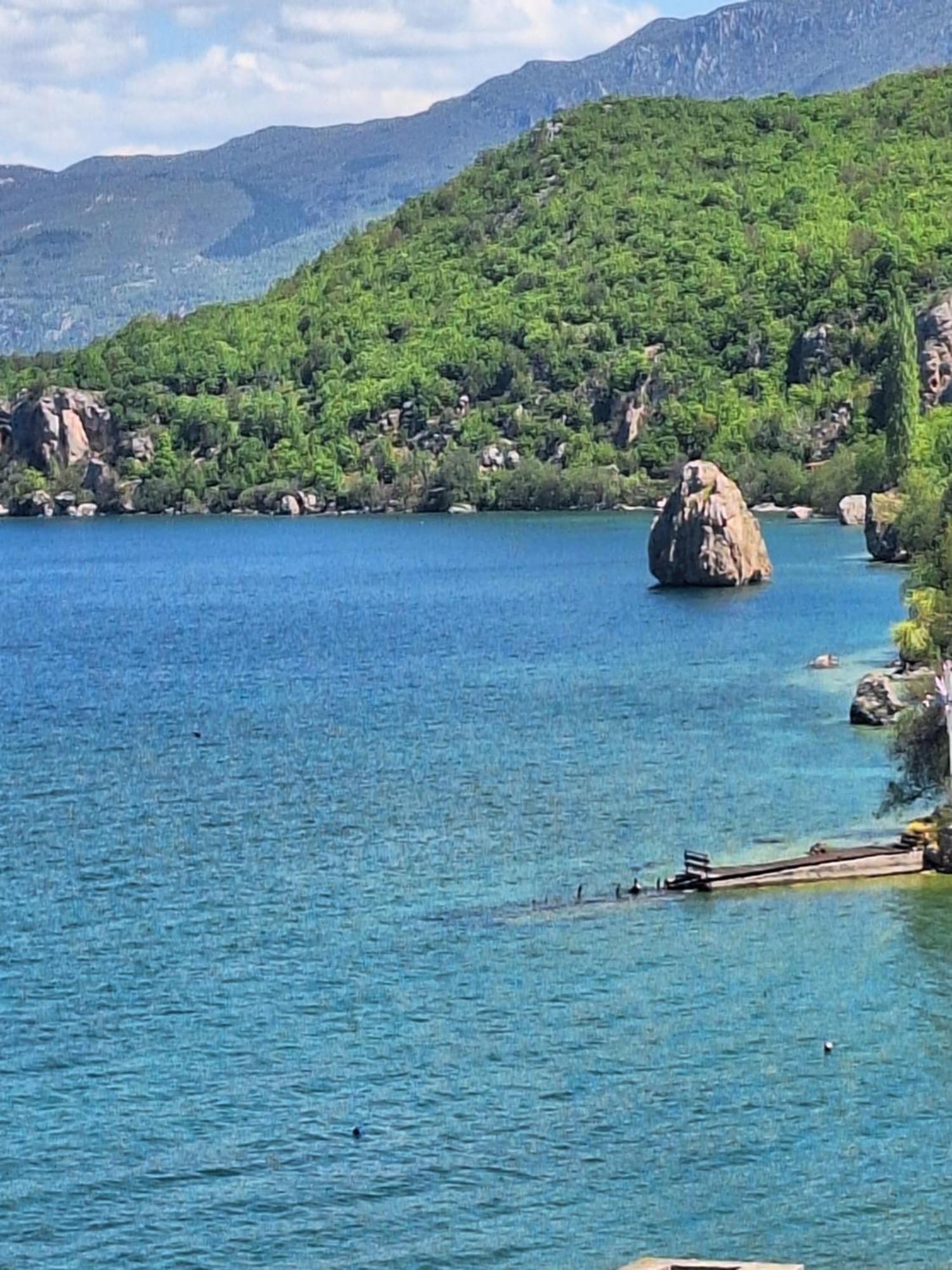 Villa Filip Trpejca Quarto foto